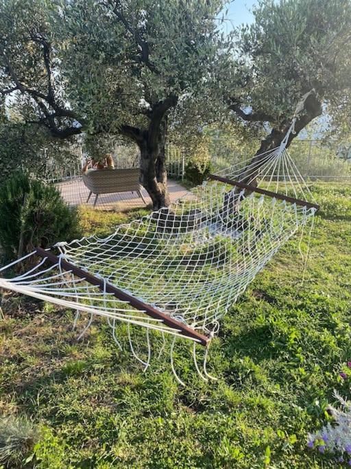 Casa Vista Mare - Superb Garden And Parking Included Βίλα Imperia Εξωτερικό φωτογραφία