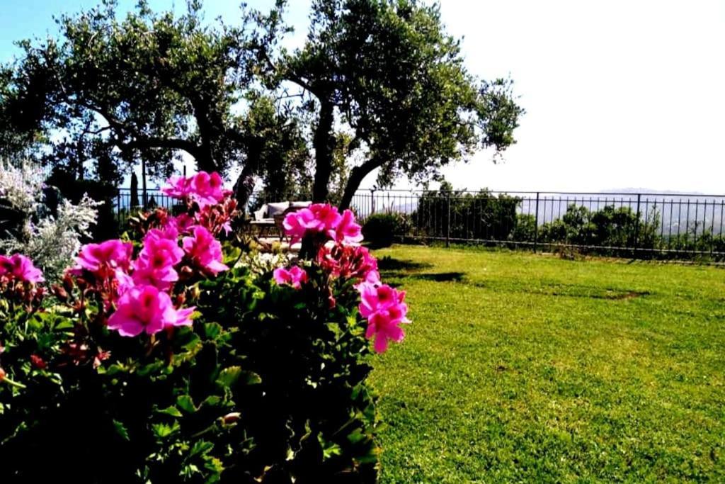 Casa Vista Mare - Superb Garden And Parking Included Βίλα Imperia Εξωτερικό φωτογραφία