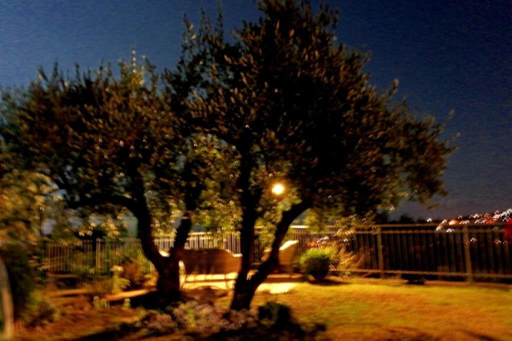 Casa Vista Mare - Superb Garden And Parking Included Βίλα Imperia Εξωτερικό φωτογραφία