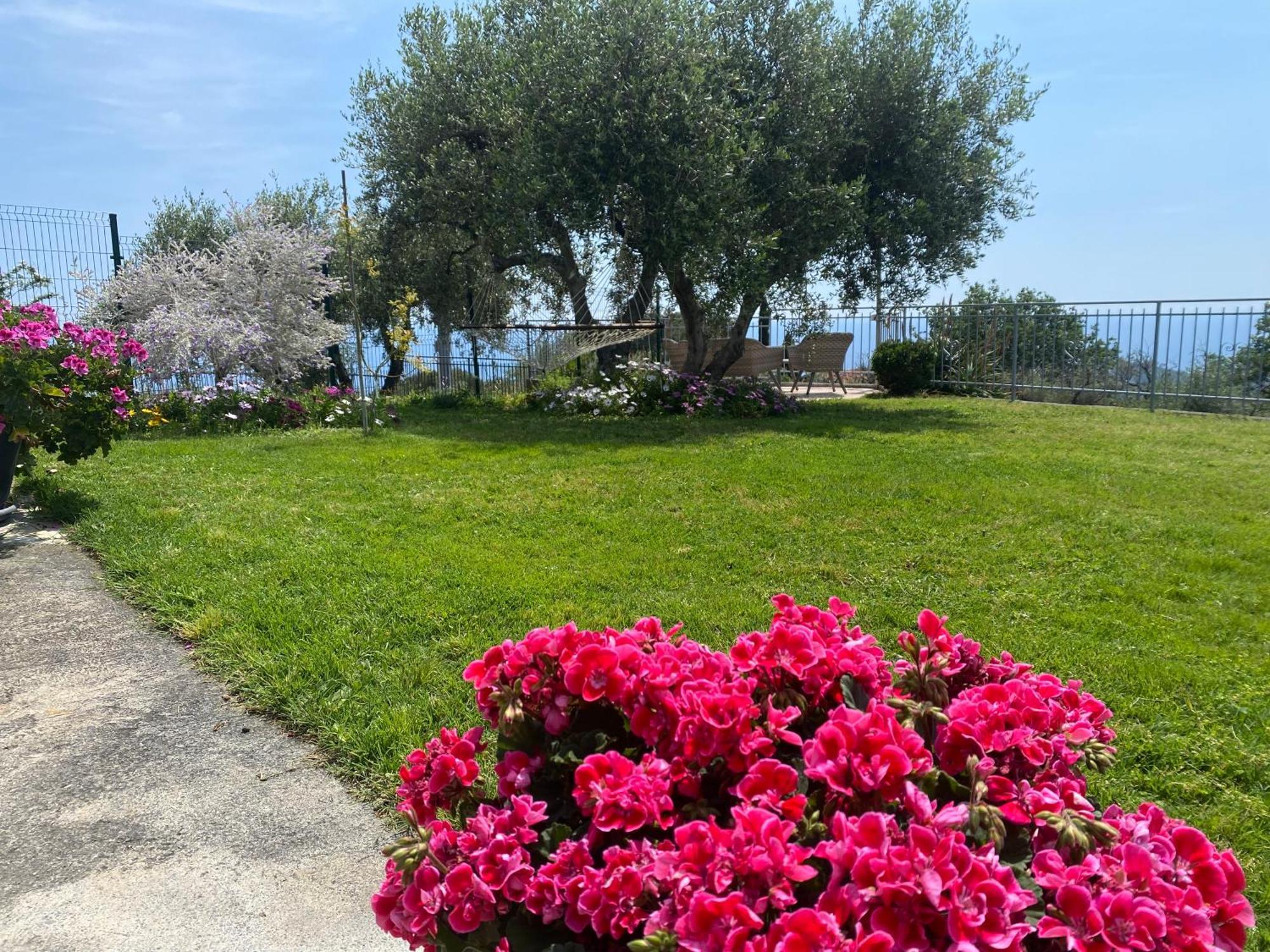 Casa Vista Mare - Superb Garden And Parking Included Βίλα Imperia Εξωτερικό φωτογραφία